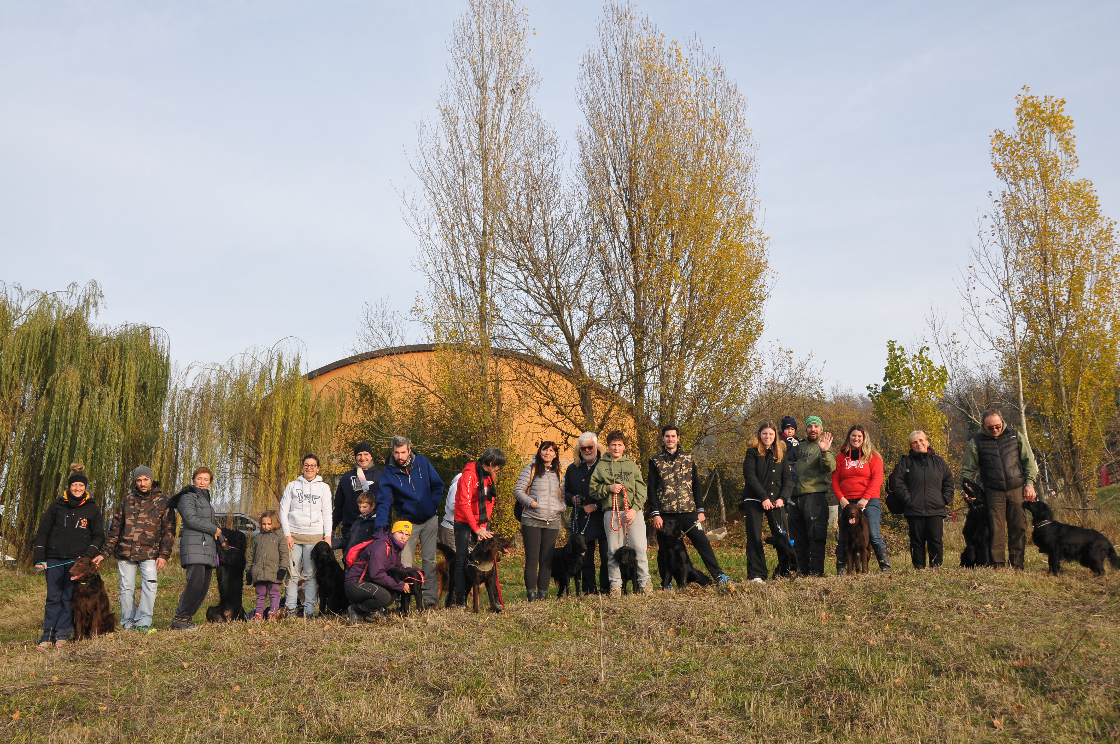 PAG 4317 2