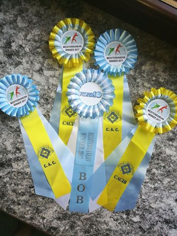 EnciWinner