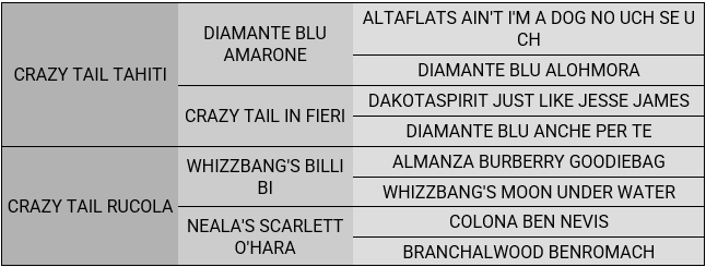 PEDIGREE SET.png